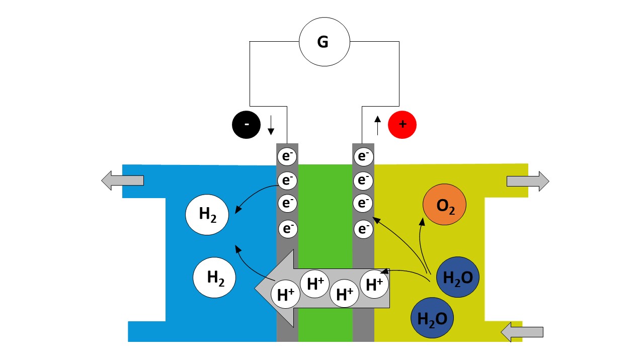 model of a hydrogen fuel cell