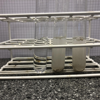 test tubes