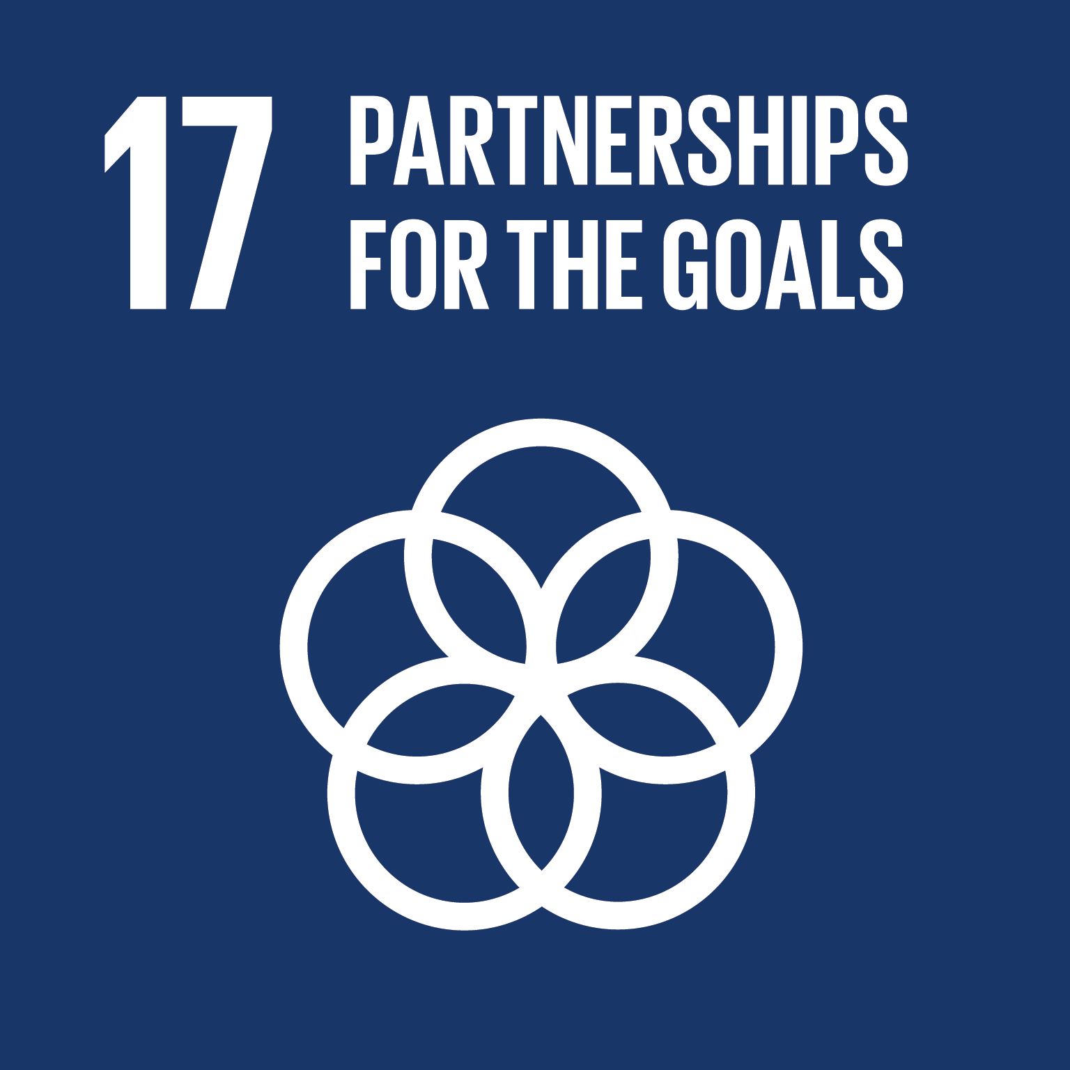 SDG Partnerschaften zur Erreichung der Ziele