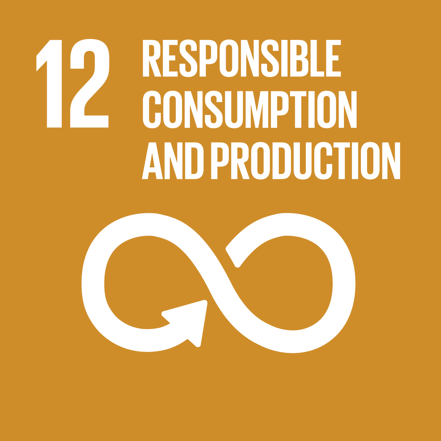SDG12 responsible consumption and production