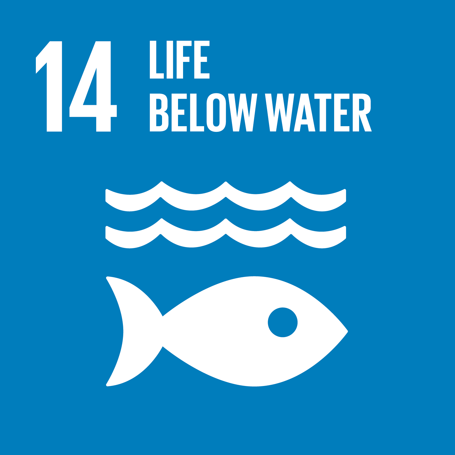 SDG14 life below water