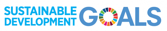 SDG Logo
