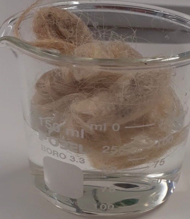 raw wool floating in a beaker filled with hydroxide