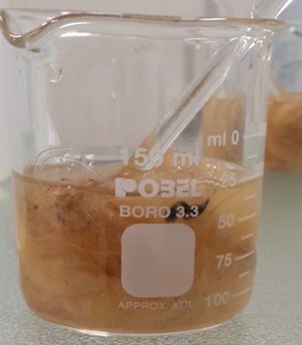 raw wool submerged in a beaker filled with hydroxide