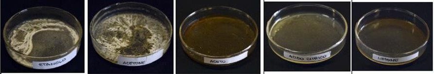 five petri dishes with dried keratine, the dishes are labeled: ethanol, acetone, vinegar, citric acid, lemon
