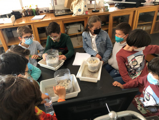 Students experimenting with beach sand