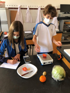 Students weighing vegetables