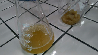 The filtered keratin extract in an Erlenmeyer flask