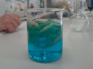 A beaker with wool and copper sulphate solution