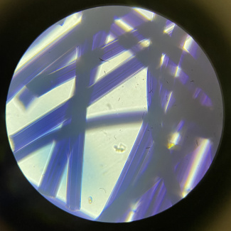 Viscose fibre under a microscope