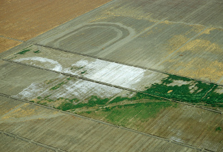 Aerial view of fields in central California