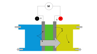 Blank hydrogen fuel cell model for students to fill out