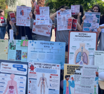 Activities in Europe Week, Albania