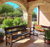 Two benches in a Mediterranean setting with olive trees and archways