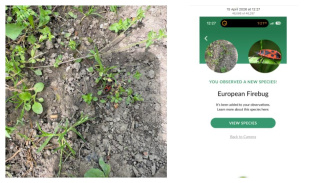 Teacher Exchange 2026, Rose Edmondson