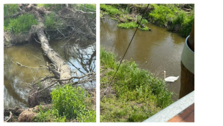 Teacher Exchange 2026, Rose Edmondson