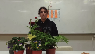 A student behind several potted plants