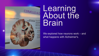 A slide iwith a picture of a brain and the title "Learning about the brain"