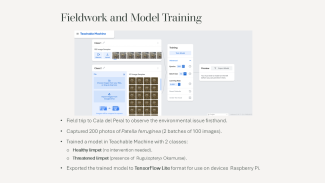 A slide with information on fieldwork and model training for a science project