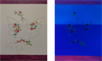 two pictures of a dove with flowers, one with normal colours, the other looking darker and blueish and the flowers in different colours