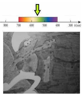 a grayscale image of a smurf