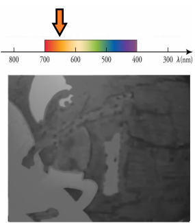 a grayscale image of a smurf