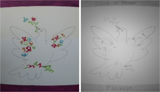 two images of a dove, one with colours, one in grayscale