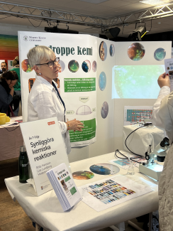 Lisa Lundberg, Hedemora, explains their project about chemical reactions.