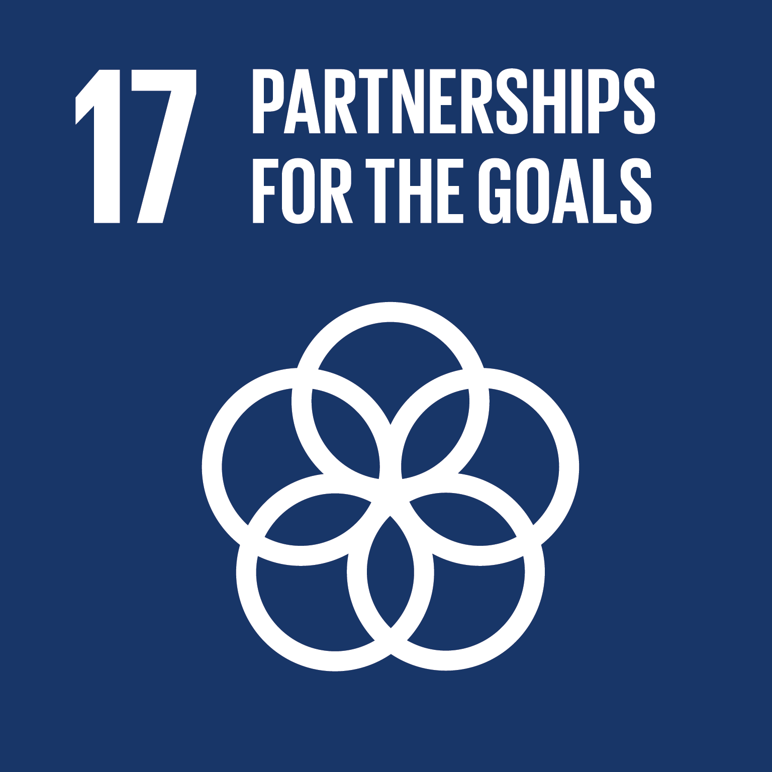 SDG goals 17 partnerships for the goals